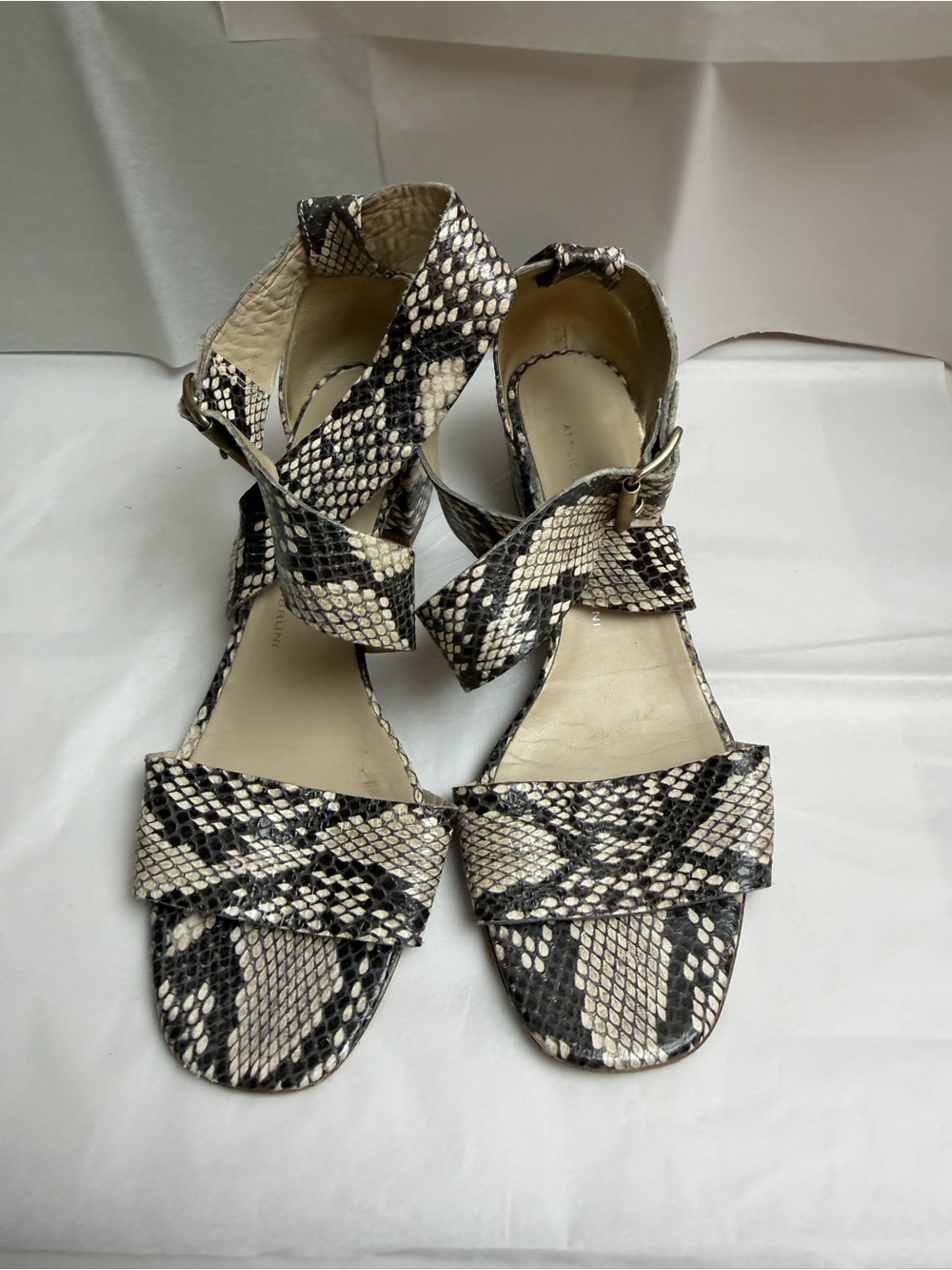 Agl Snake-Print Ankle Strap Sandals in Black and Cream